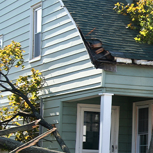 New Leaf Roofing Images